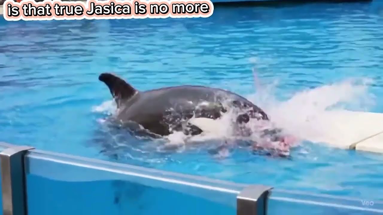 Truth Behind Jessica's Death Incident