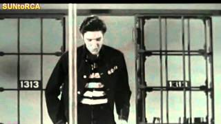 I Remember Elvis Presley  (Tribute to the King) - Sung By Danny Mirror