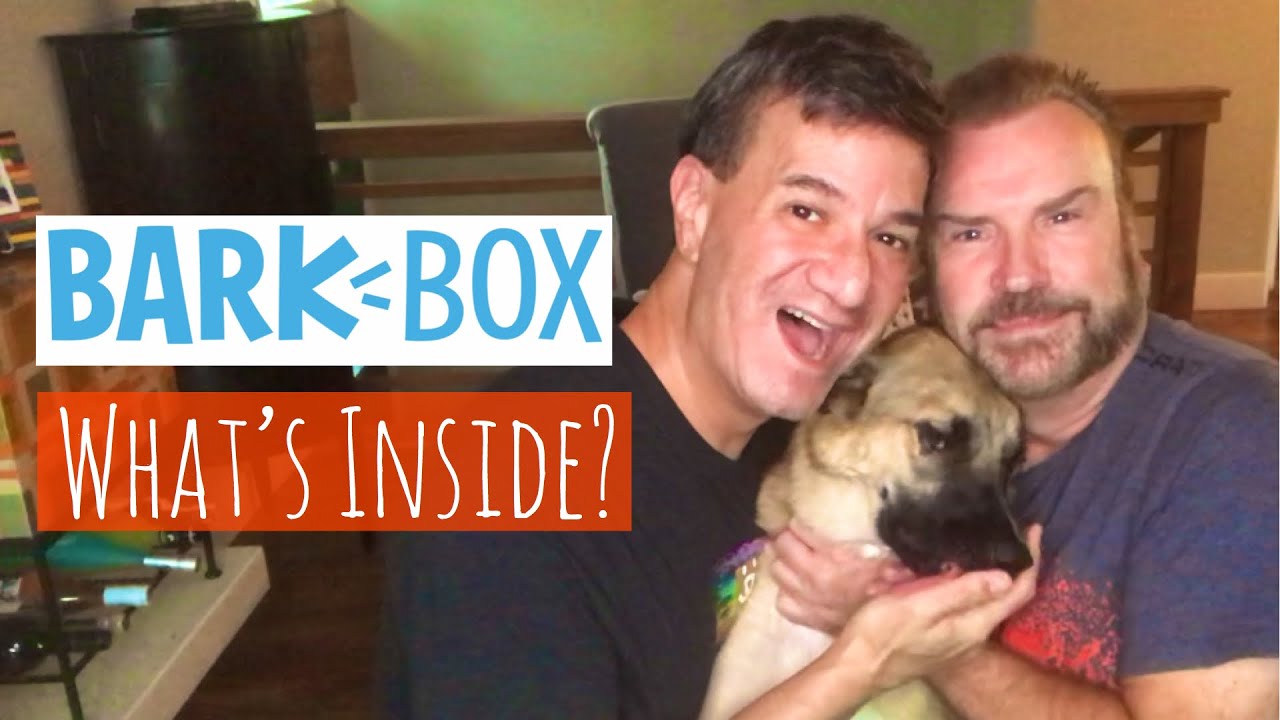 BARKBOX JUNE 2020 unboxing & review YouTube