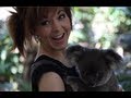 Koalas - Lindsey Stirling