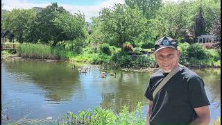 Humber Arboretum Pt3: The Canada Goose