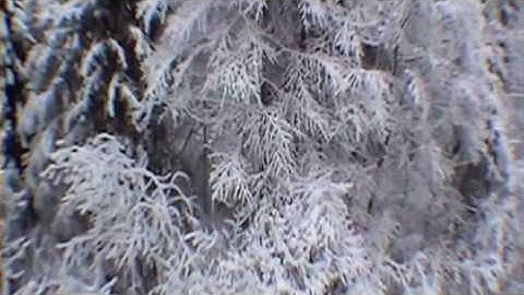 B.A.S.E. Lauterbrunnen 2009.m4v