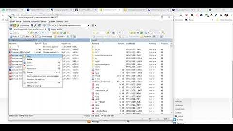 Como usar el programa FTP WinSCP