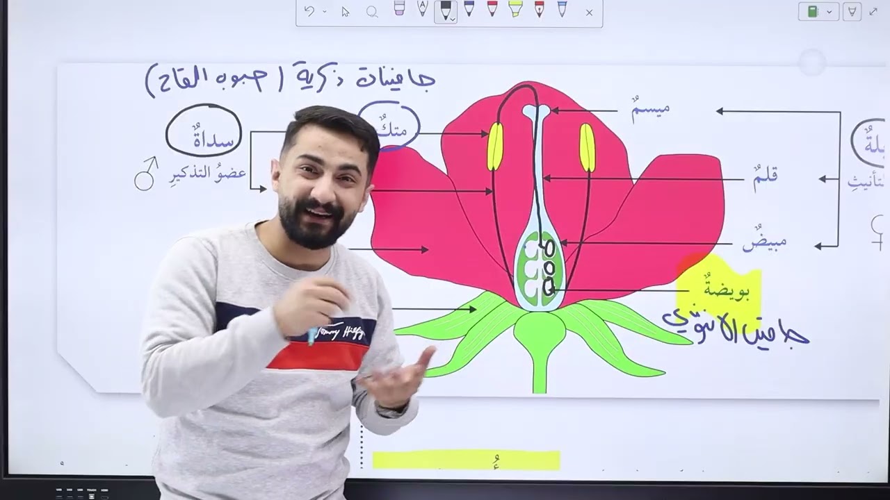 الحصة الثالثة جيل2010  النباتات الوعائية البذرية ج3