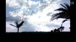 Dure hariye by minar