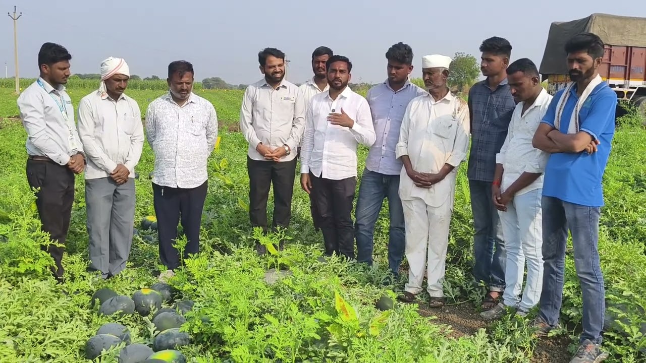 व्याजा सहित प्लॉट पैसा करून दिले? 4 वर्ष चे भरून निघाले सर्व?#कलिंगड # watermelon#borgave_technology