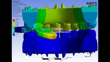 Oral Biomechanics Simulation of Mastication/ Teeth Biting a Biscuit - ANSYS WB Explicit Dynamics