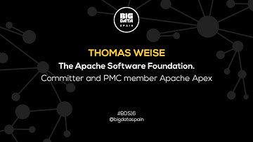 Interview to Thomas Weise at Big Data Spain 2016