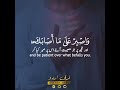 واصبر على ما أصابك سورة لقمان ١٧ أحمد خضر   17  