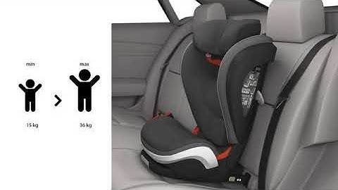 BeSafe iZi Flex S FIX