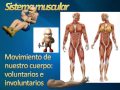 TIPOS DE ALIMENTACIÓN Y RESPIRACIÓN DE LOS SERES VIVOS