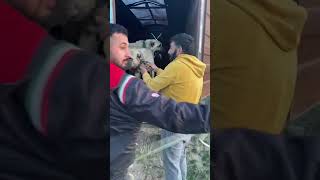 Köpekleri̇ Eşleşti̇rdi̇k