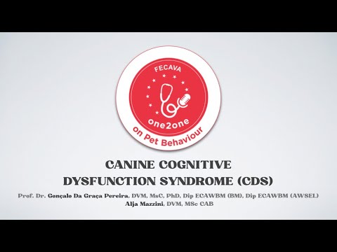 Video: Pagkilala Sa Canine Cognitive Dysfunction