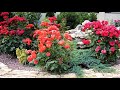 🌺Прекрасные идеи для декора и обустройства садового участка / Great garden decor ideas / A - Video