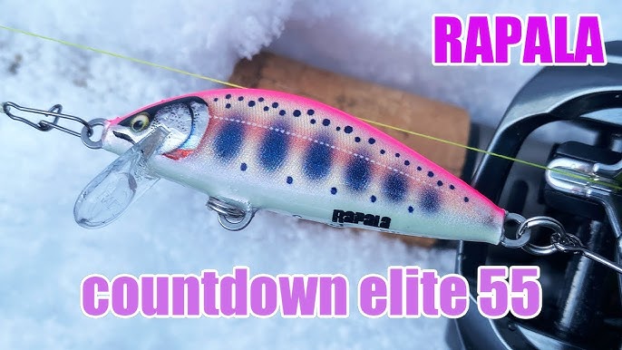 Rapala Countdown Elite 55 雪の渓流でカウントダウンエリート55でニジマス釣る 水中アクション有り Youtube