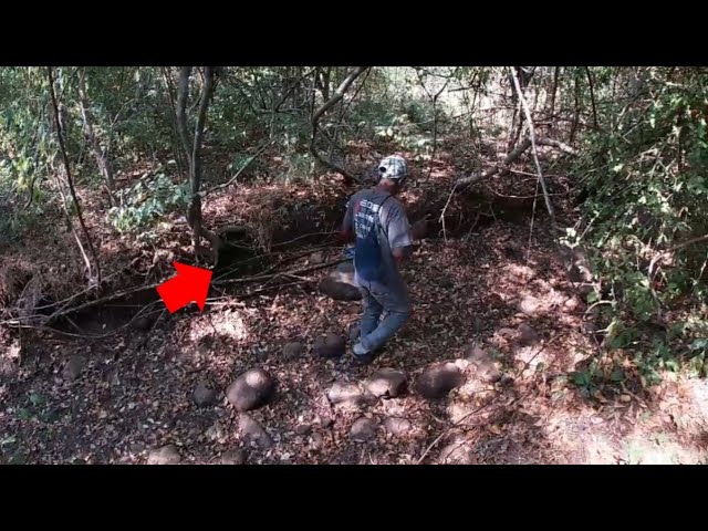 Encuentran Duende Real En El Bosque 