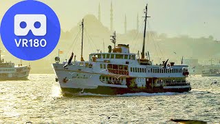 VR180 - Istanbul Ferry - Journey with Seagulls