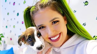 Adotei Uma Cadelinha