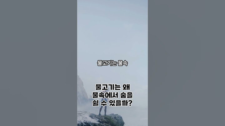 "물고기는 왜 물속에서 숨을 쉴 수 있을까?"