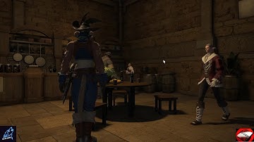 FFXIV - The Hazy Professor (Carrier Lvl 22 Quest)
