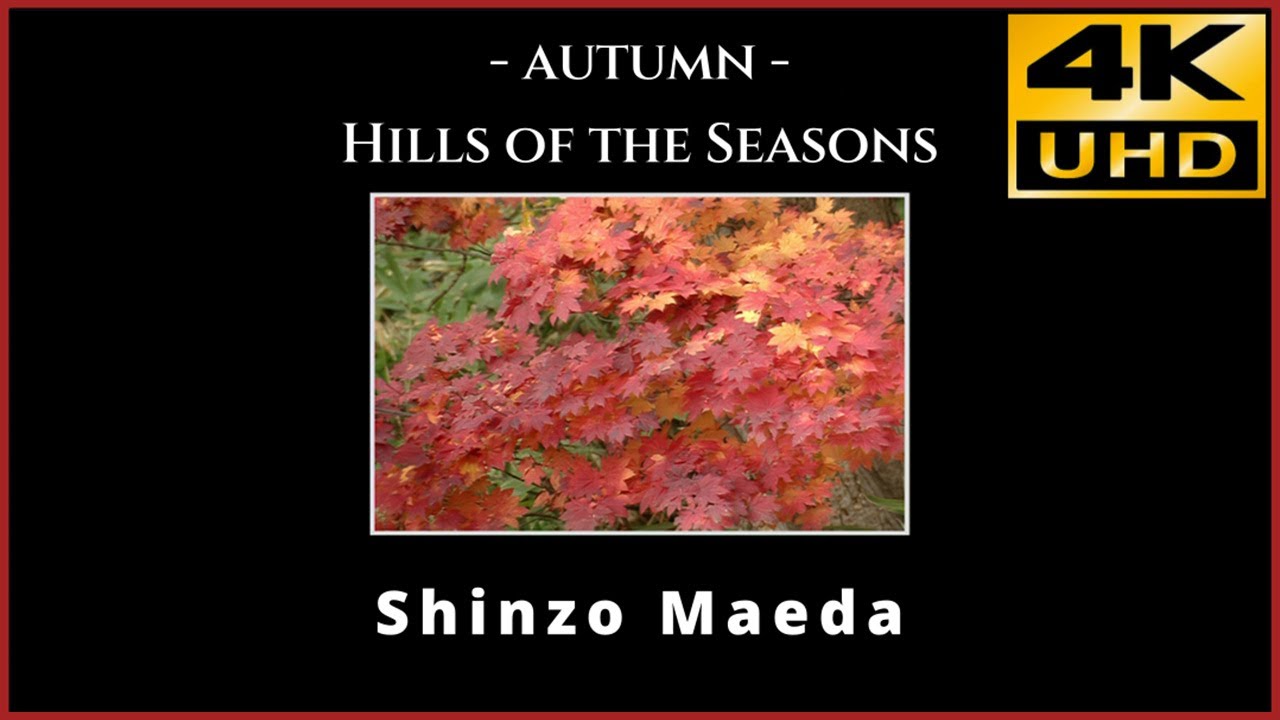 Shinzo Maeda 