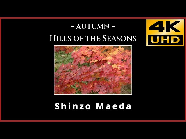 Shinzo Maeda 
