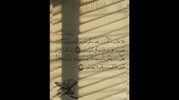 سوره آل عمران عدد آياتها ٢٠٠ آيه (سوره مدنيه ) من الآيه ١٦٠ إلي الآيه ١٦١