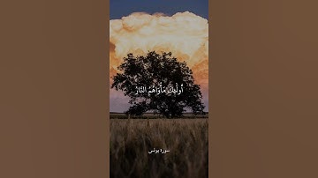 إِنَّ الَّذِينَ لَا يَرْجُونَ لِقَاءَنَا وَرَضُوا بِالْحَيَاةِ || سورة يونس || علي جابر