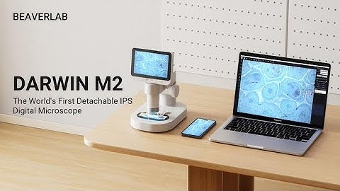 Darwin M2 - The World