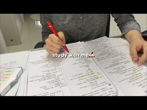 [의대생 스터디윗미] 시험 전날이다아? 4 Hour Study with me (real time, no music)