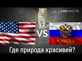 США vs Россия по природе!