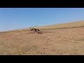 Traditional Horse Racing Nkandla May KZN 23 05 2026 