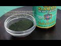 Are AFA Blue-Green Algae Supplements Toxic? Controversy About Cyanotoxins