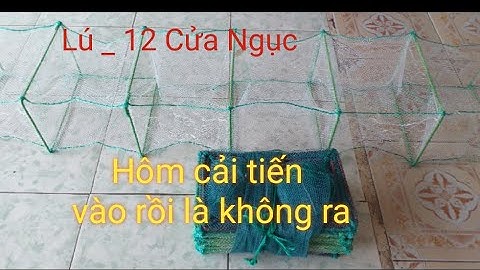 Lú - 12 cửa ngục Hôm cải tiến bắt được nhiều cá tôm, lưới Thái lan loại 1 sử dụng trên 3 năm