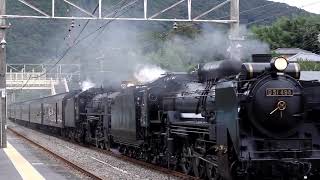 C61 D51 2011 0924