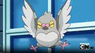 Ash Pidove evolves into Tranquill Part-1