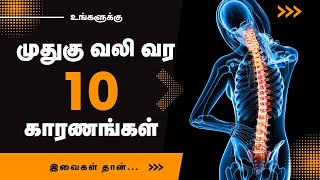 Back Pain - 10 Common Causes | 24 Tamil Health