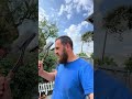 Гнучкий клінкер гнучка цегла гібкий клінкер Гнучкий клінкер гнучка цегла гібкий клінкер