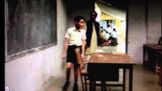 Life of Pi Introduction