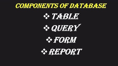 component of Database MS Access| Database basics in Urdu/Hindi| Database computer 2nd year lectures