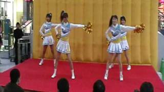 RABBITS20091122.MPG