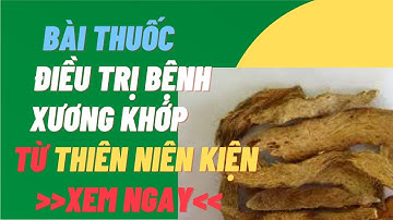 Thiên Niên Kiện chữa bệnh gì? Bài thuốc hay từ Thiên Niên Kiện không thể bỏ qua