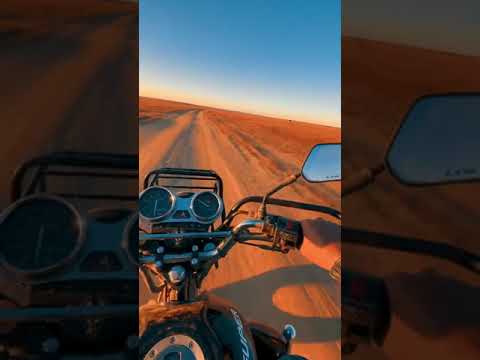 Alatau Serileri Dombyra Shorts 