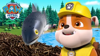 Pups Help the Fish get over the Beaver Dam!  PAW Patrol UK  Cartoons for Kids Compilation