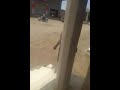 خناقه رفاعى الدسوقى فى طليا 