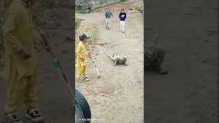 Victory style #daroodsharif #islamabad #islamabadnews