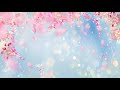 Relaxing Japanese Music - Cherry Blossoms | Soothing, Peaceful, Spa ★171