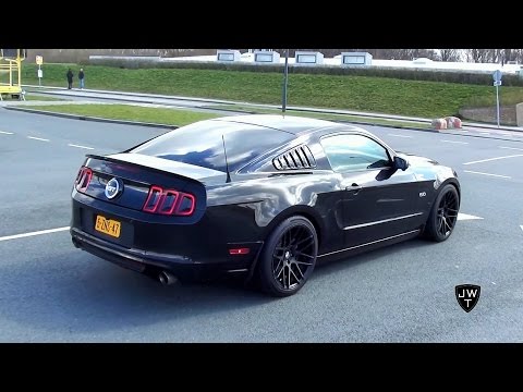 Supercharged Ford Mustang GT 5.0 Stage II BRUTAL Exhaust Sounds & Accelerations!