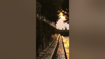 تلاوة ندية من سورة الشعراء