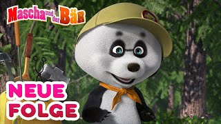 Mascha und der Bär  Bälle für alle Fälle ⛳ Neue Folge  Masha and the Bear